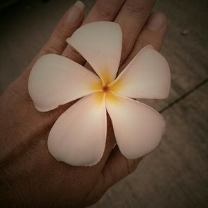 Meet your Posher, Nichole